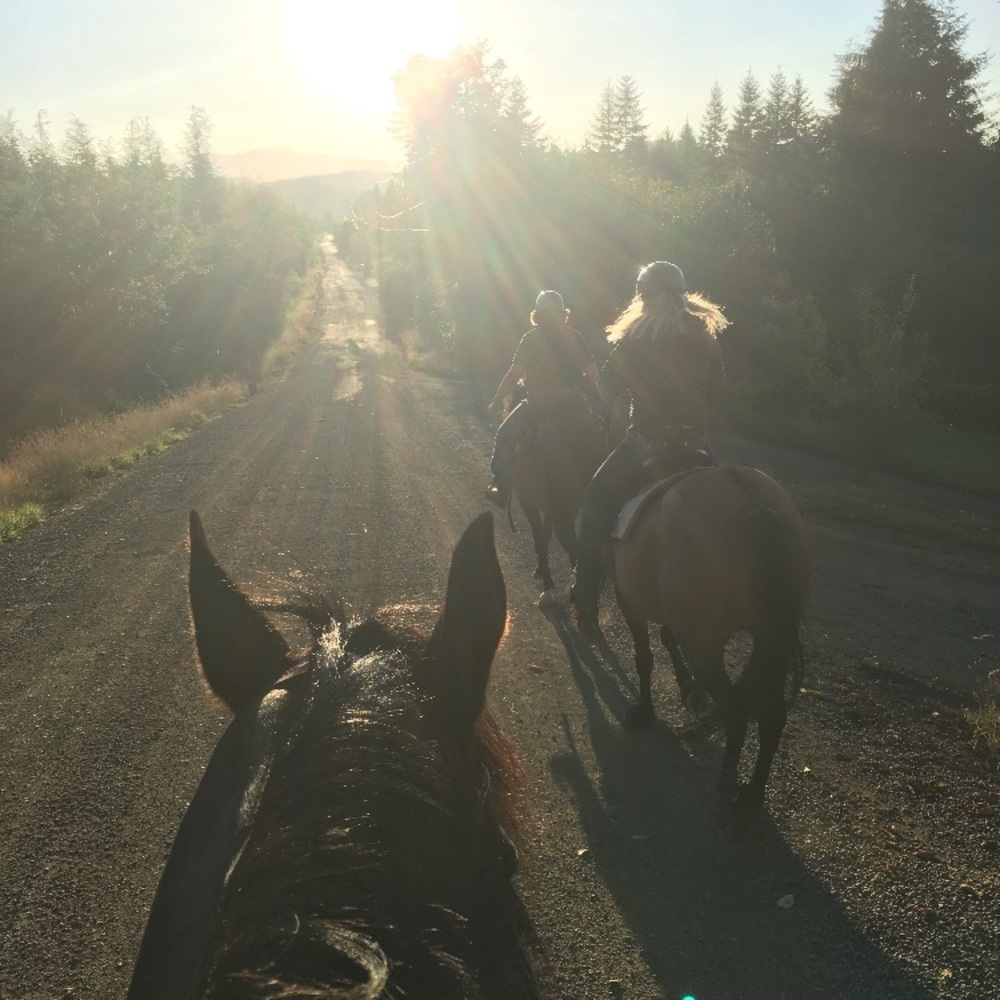 Meet your Posher, Lexie